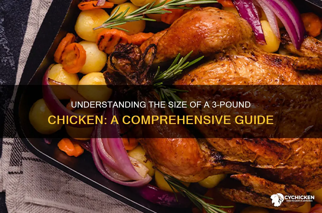 how big is a 3 lbs chicken