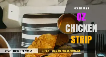 Understanding the Size of a 3 oz Chicken Strip: A Visual Guide
