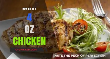 Understanding the Size of a 4 oz Chicken Portion: A Guide