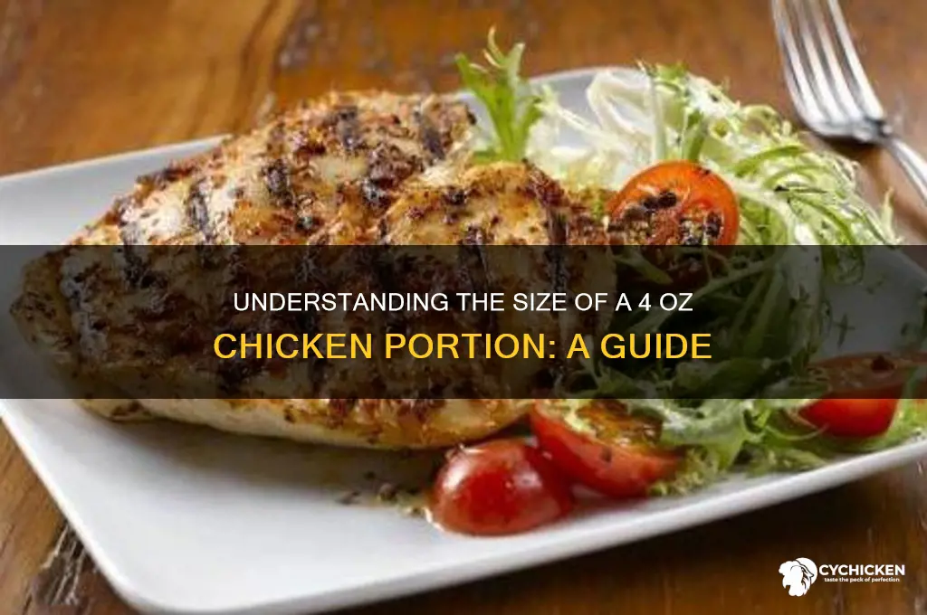 how big is a 4 oz chicken