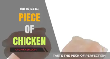 Understanding the Size of a 4oz Chicken Portion: A Visual Guide
