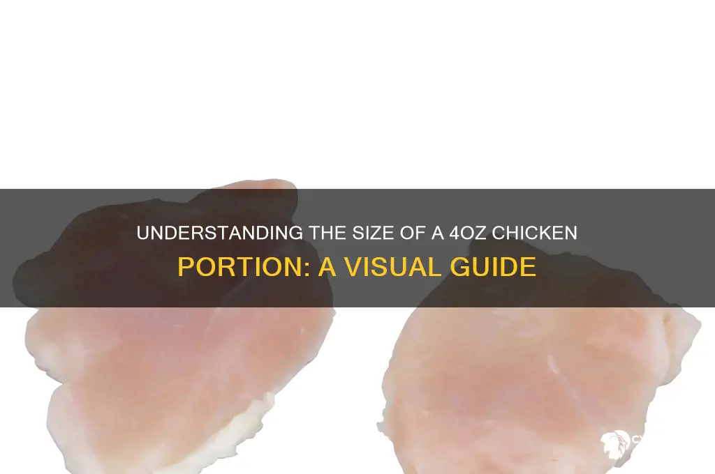 how big is a 4oz piece of chicken