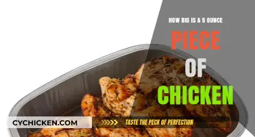 A Visual Guide to Portion Sizes: 5-Ounce Chicken