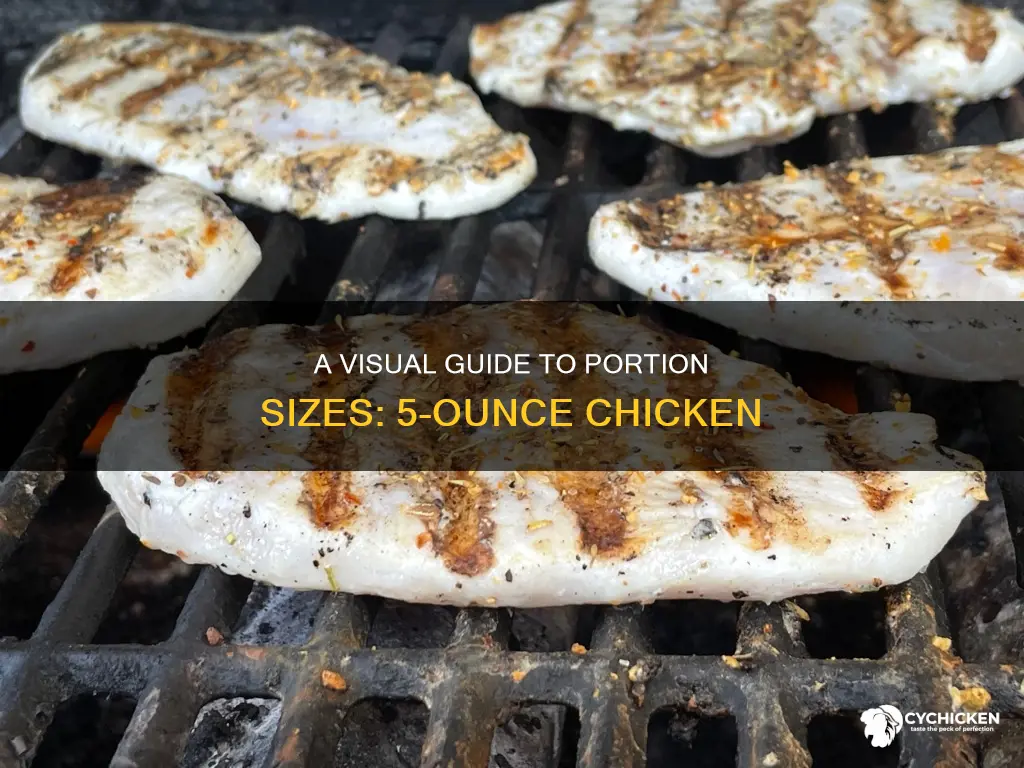 how big is a 5 ounce piece of chicken
