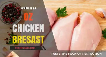 Understanding the Size of a 6 oz Chicken Breast: A Visual Guide