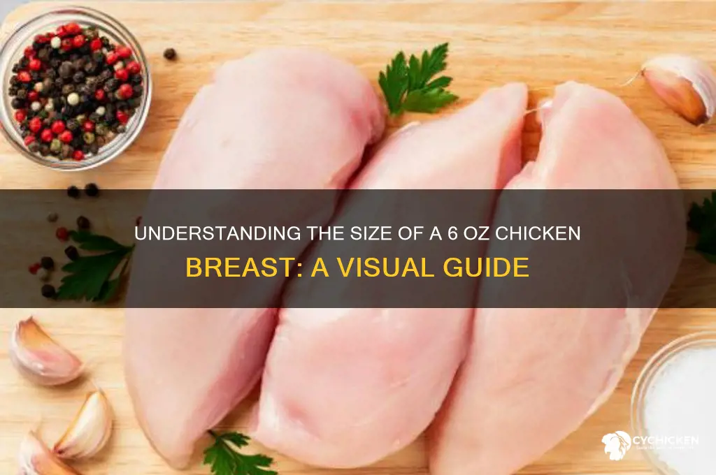 how big is a 6 oz chicken bresast