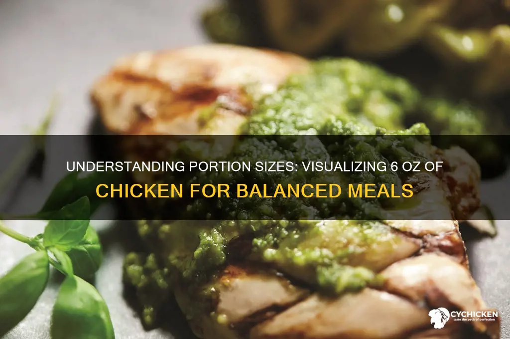 how big is a 6 oz of chicken