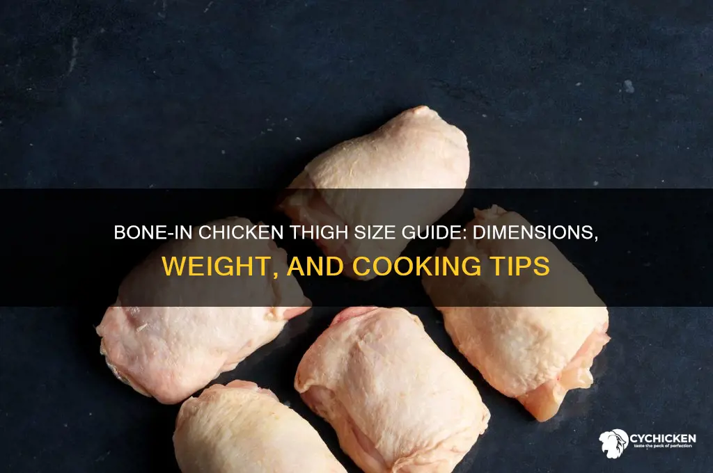 how big is a bone in chicken thigh