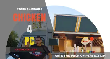 Broaster Chicken 4-Piece Size Guide: What to Expect