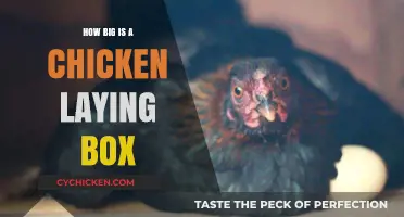 Ideal Chicken Nesting Box Size: A Guide for Happy Hens