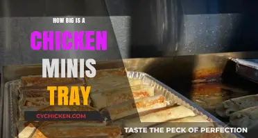 Chicken Minis Tray Size Guide: Dimensions and Serving Capacity Explained