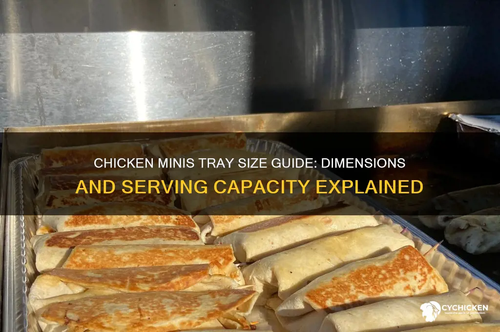 how big is a chicken minis tray