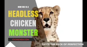 Unveiling the Size of the Mysterious Headless Chicken Monster