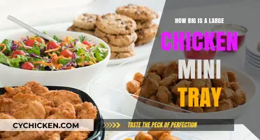 Large Chicken Mini Tray Size Guide: Dimensions and Serving Tips