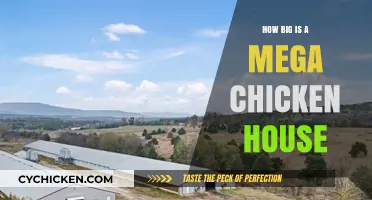 Exploring the Size and Scale of Mega Chicken Houses