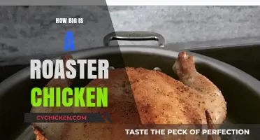Perfectly Sized: Understanding the Weight and Dimensions of a Roaster Chicken