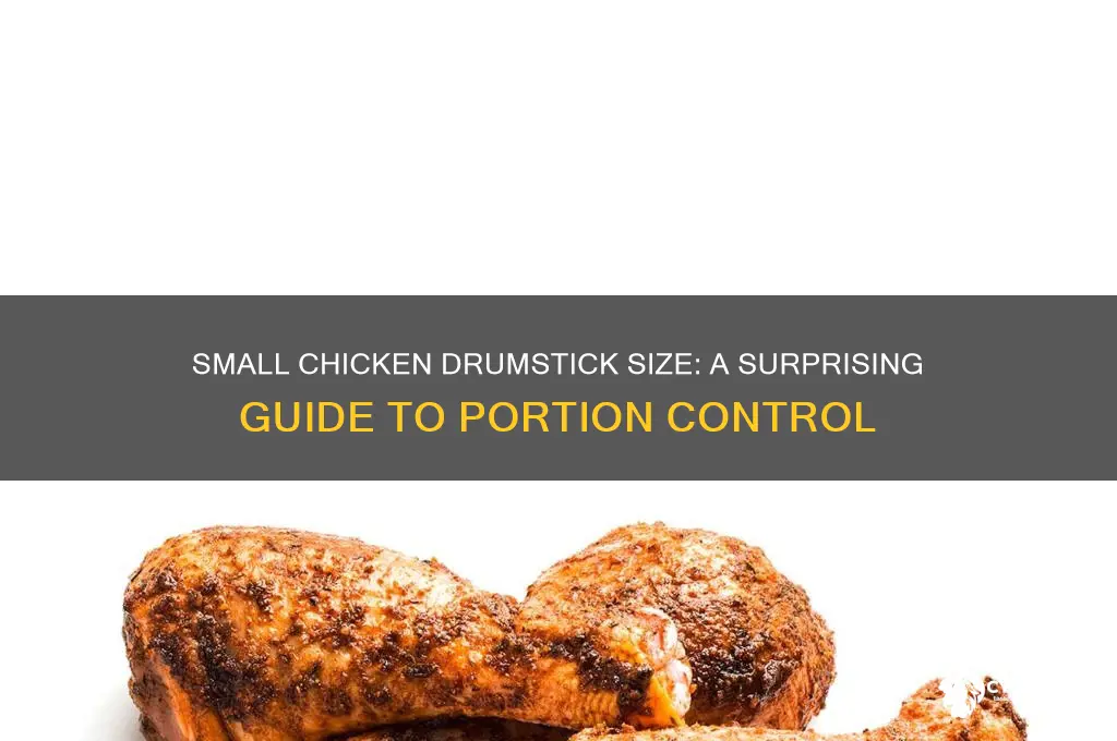 how big is a small chicken drumstick