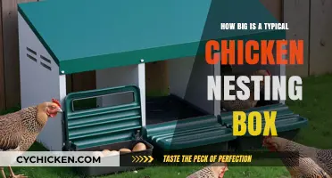 Ideal Chicken Nesting Box Size: A Practical Guide for Owners