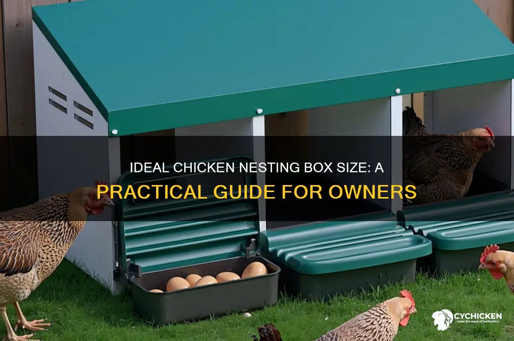 how big is a typical chicken nesting box