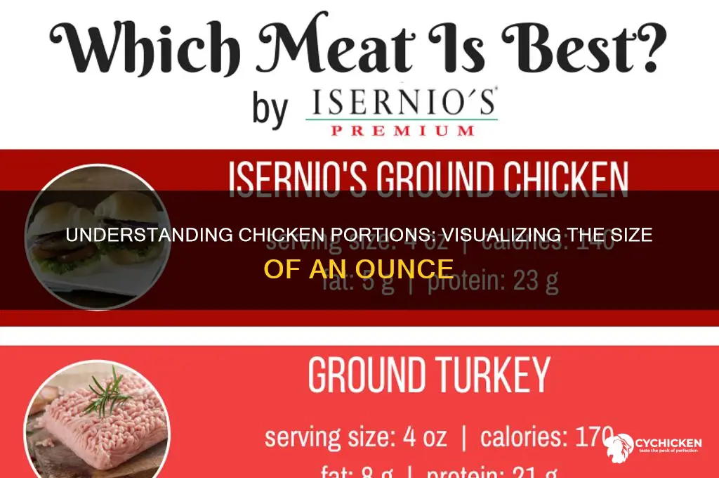 how big is an oz of chicken