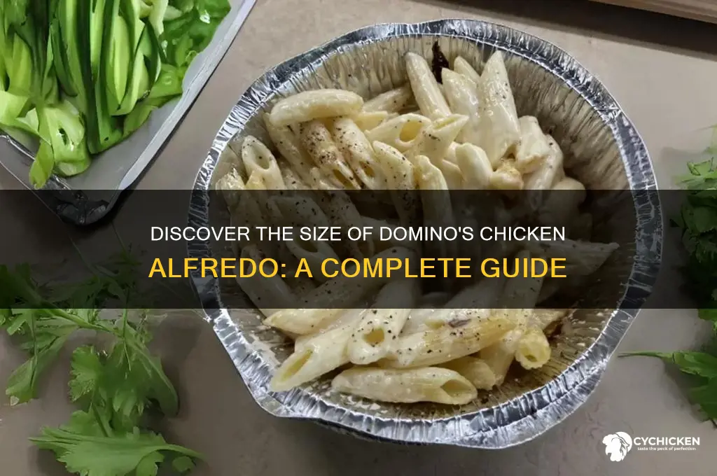 how big is chicken alfredo at dominos