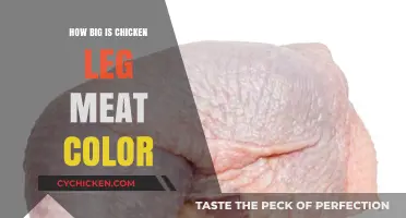 Understanding Chicken Leg Meat Color and Size Variations Explained