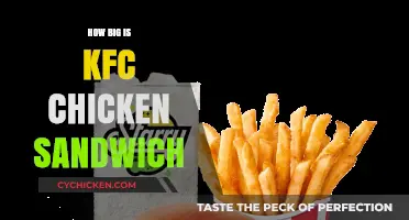 KFC Chicken Sandwich Size: A Detailed Look at Its Dimensions