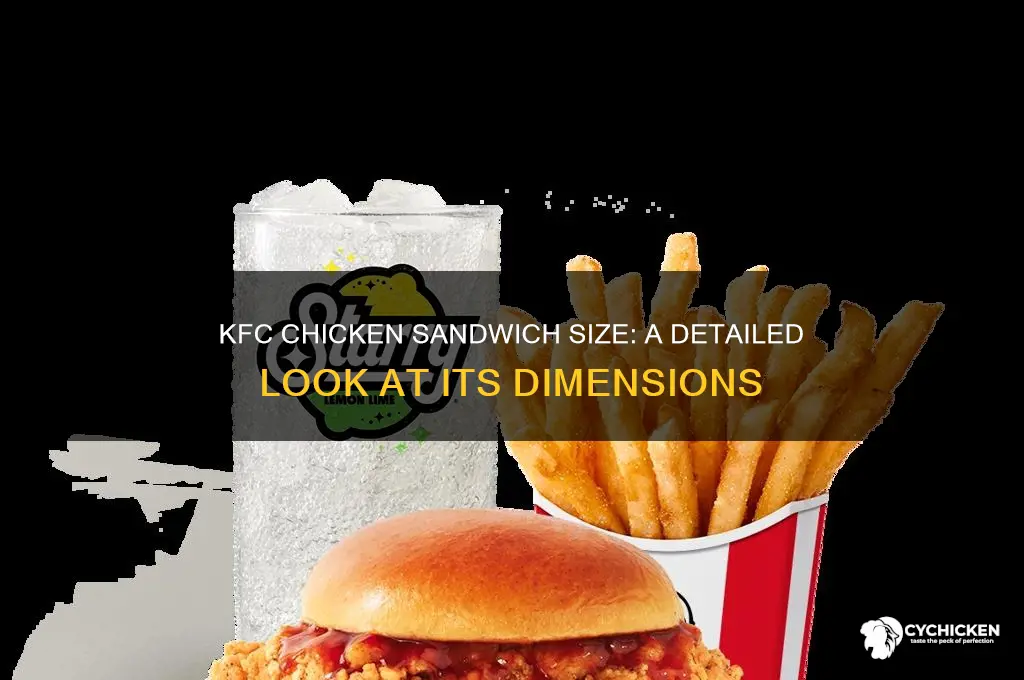 how big is kfc chicken sandwich