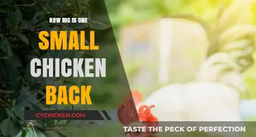 Small Chicken Back Size: Understanding Its Dimensions and Culinary Uses