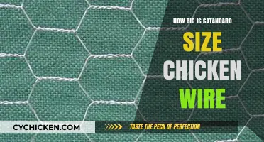 Standard Chicken Wire Size: Dimensions and Practical Uses Explained