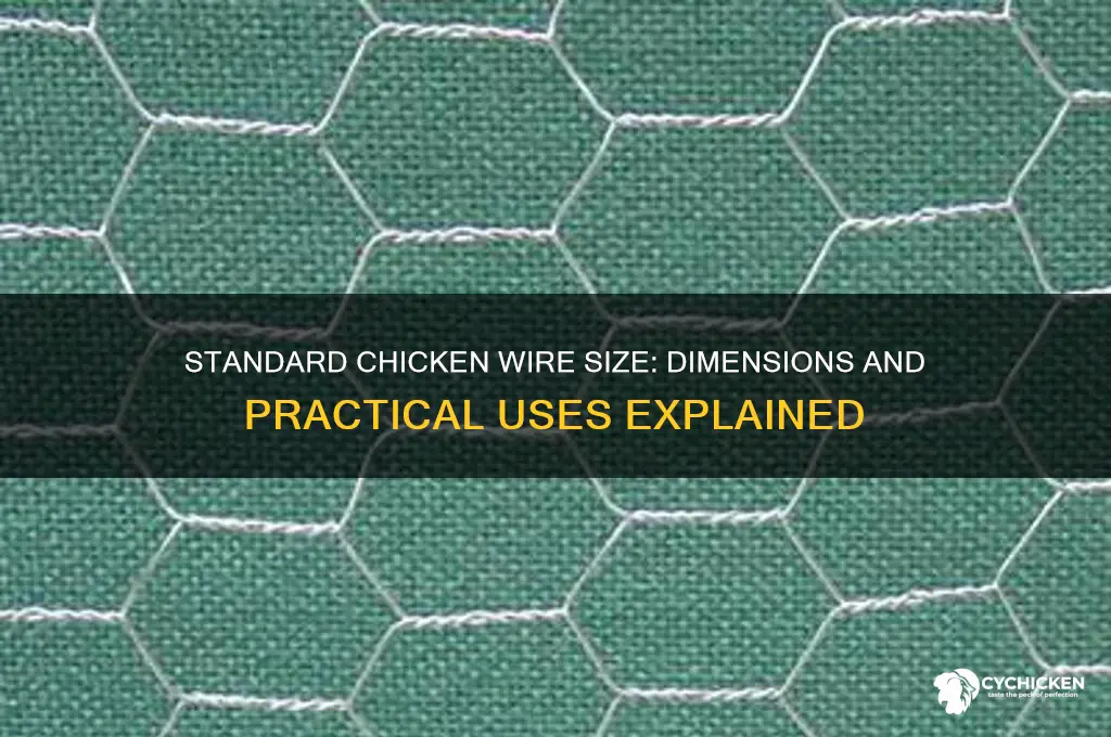 how big is satandard size chicken wire