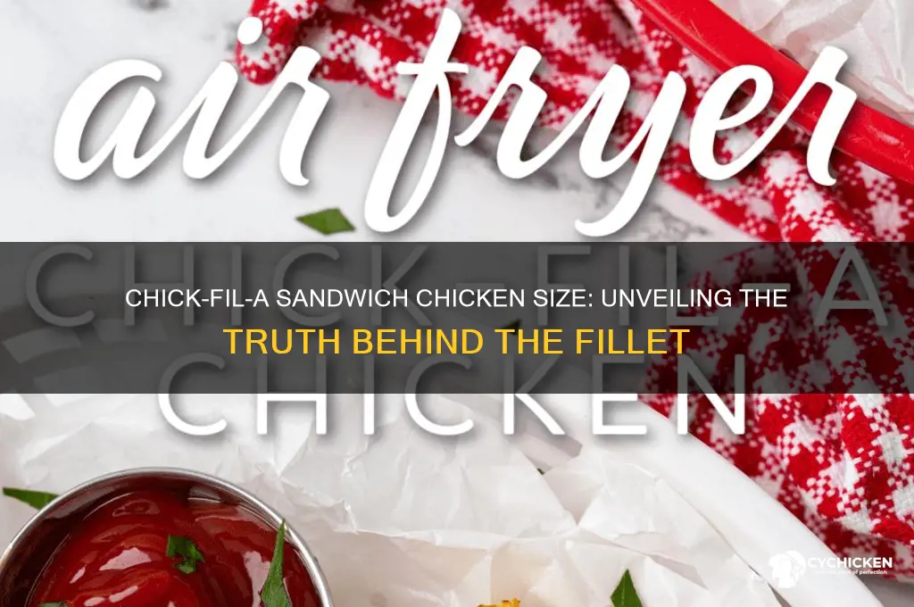 how big is the chicken in chick fila sandwich