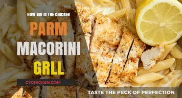 Exploring the Size of Chicken Parm Macaroni Grill's Signature Dish