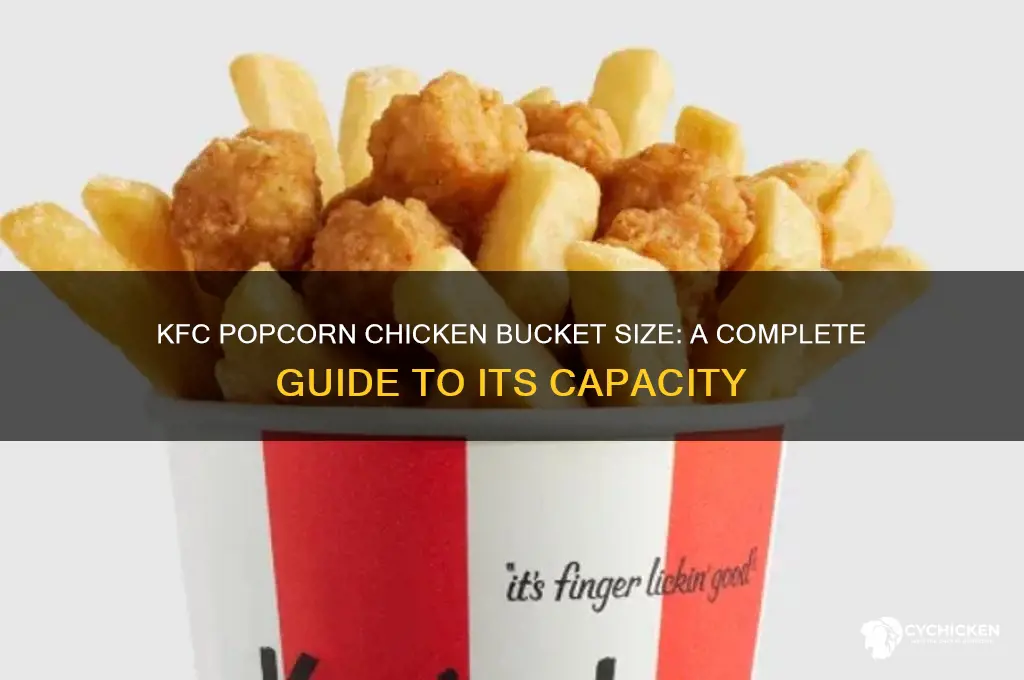 how big is the kfc popcorn chicken bucket