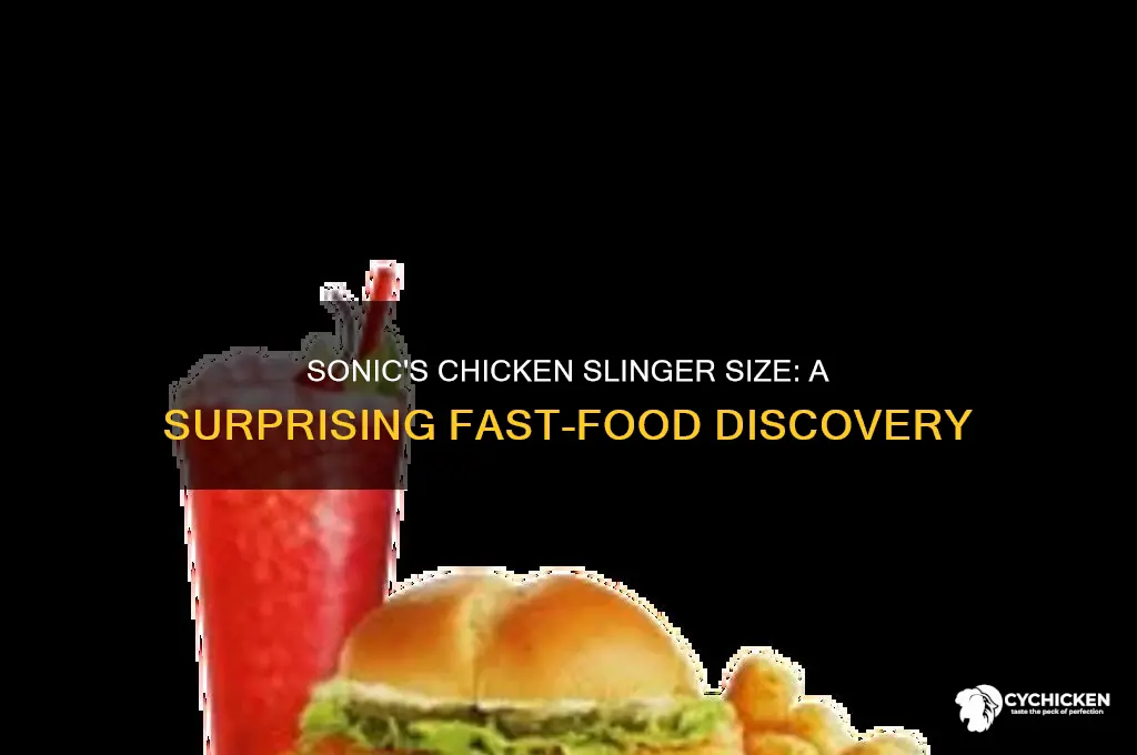 how big is the sonic chicken slinger