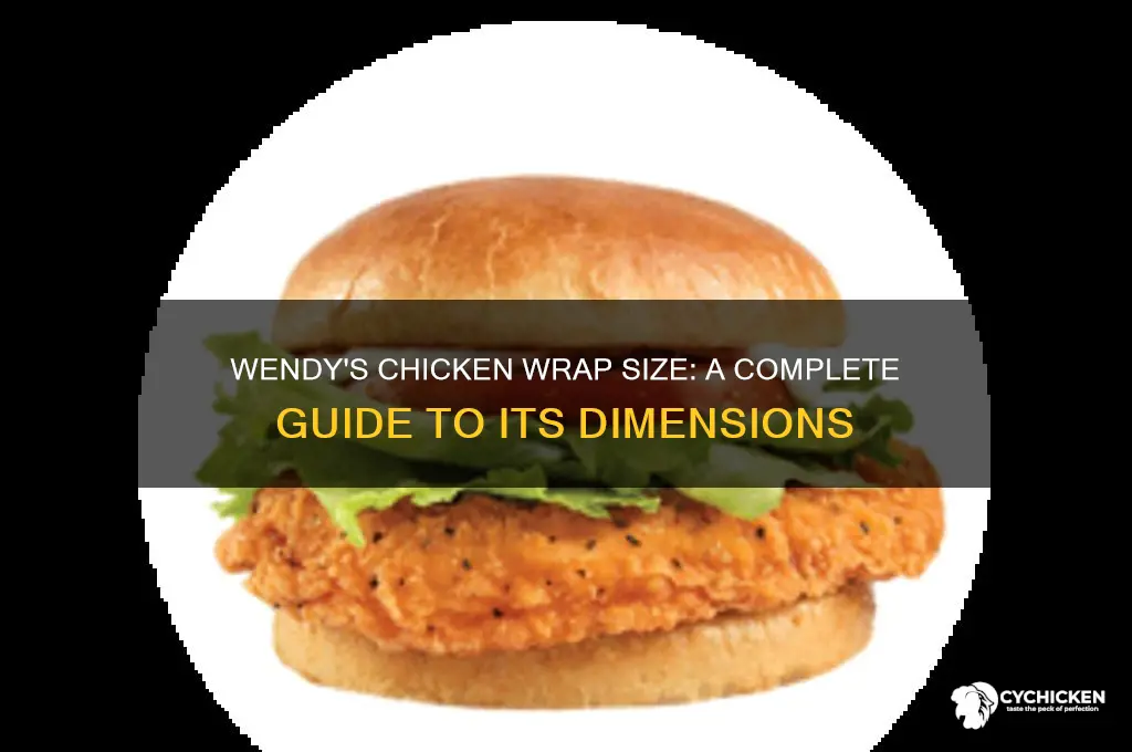 how big is wendy