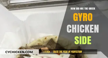 Nic the Greek's Gyro Chicken Side: Size, Taste, and Value Revealed