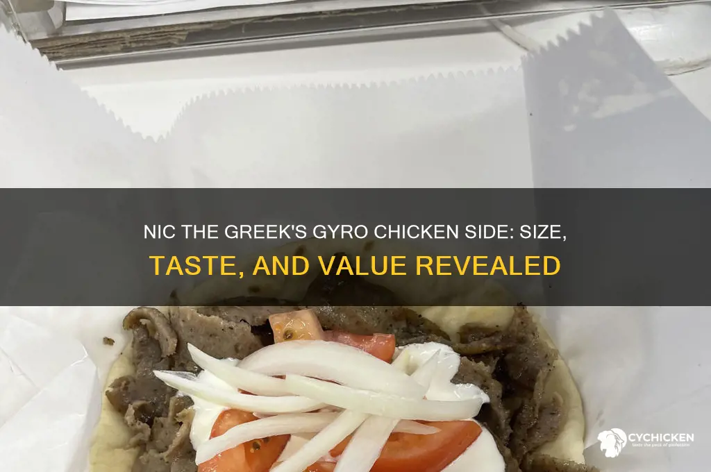 how big nic the greek gyro chicken side