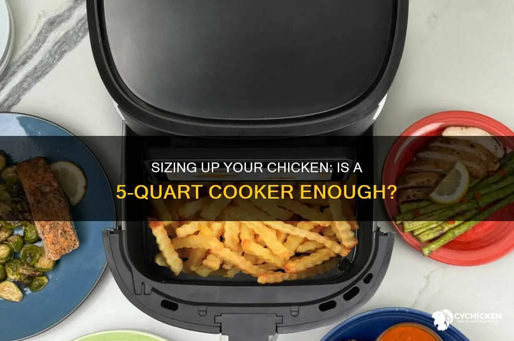 how big of a chicken 5 quart