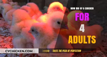 Perfect Chicken Size for 4 Adults: A Complete Serving Guide