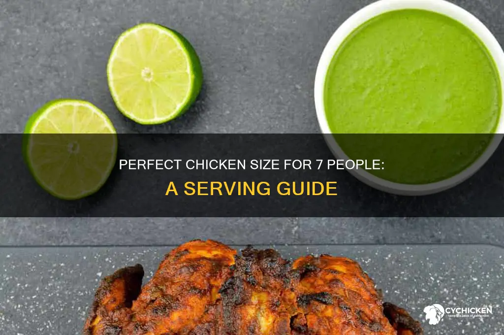 how big of a chicken for 7 people