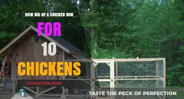 Spacious Chicken Runs: How Much Space Do They Need?
