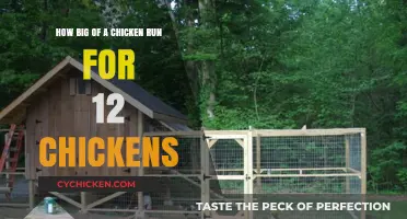 Spacious Chicken Run: How Much Space Do They Need?