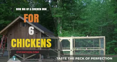 Spacious Chicken Runs: How Much Space is Enough?