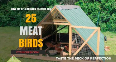 Meat Bird Chicken Tractors: Sizing for 25 Birds