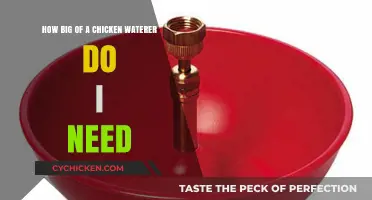 Chicken Waterer: Choosing the Right Size for Your Flock