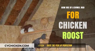 Choosing the Right Dowel Rod Diameter for Chicken Roosts