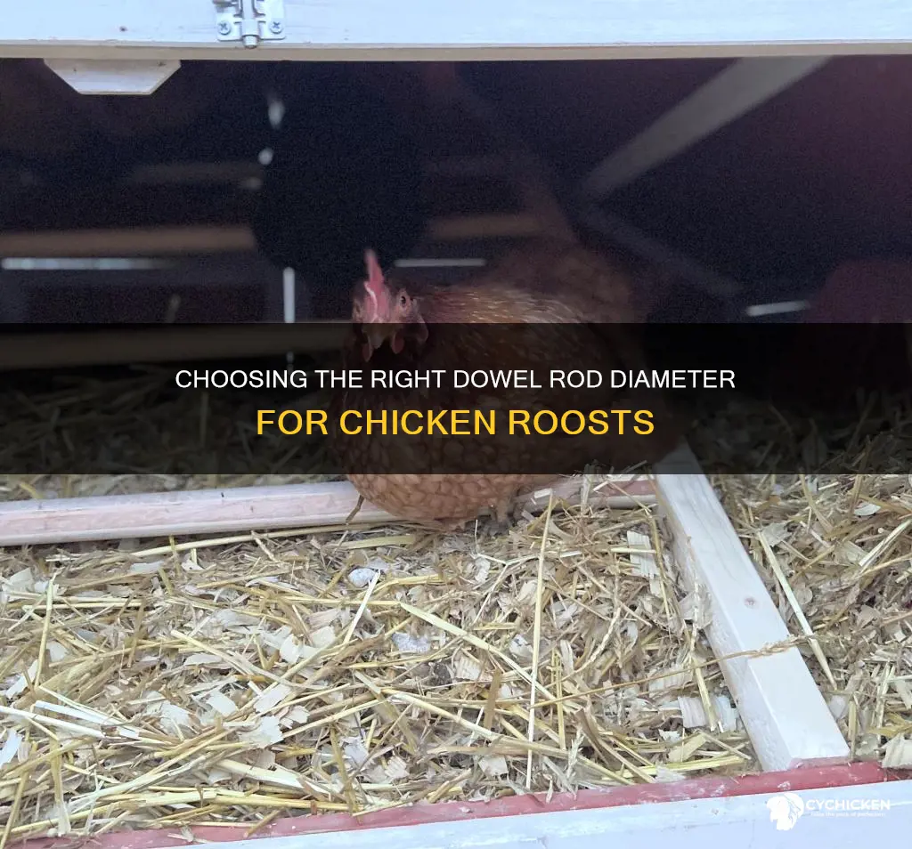how big of a dowel rod for chicken roost