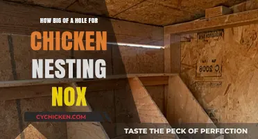 The Perfect Hole Size for Chicken Nesting Boxes