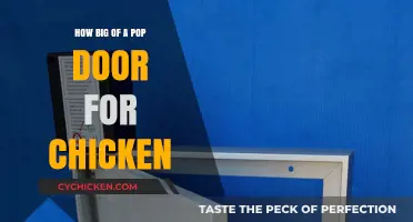 Choosing the Right Pop Door Size for Your Chicken Coop